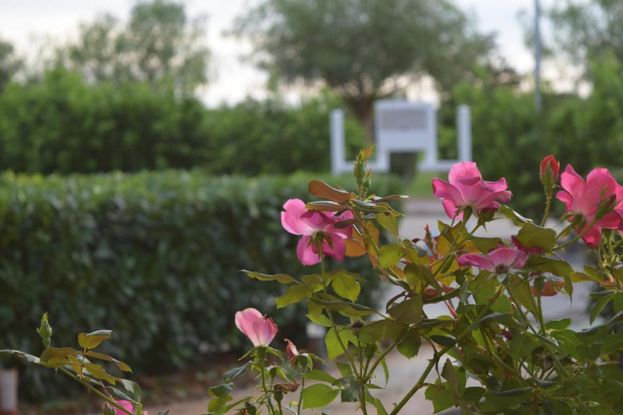 Agri-Resort Luxury Farm Marigliano Exteriör bild